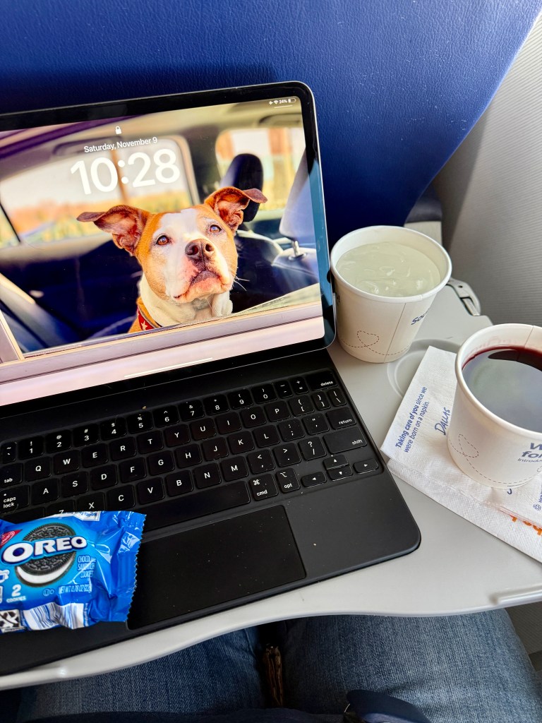 airplane food and drink... red wine and oreos 